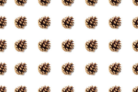 Dry pine cone seamless pattern isolated on white background. Symbol of Christmas and New Year....