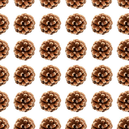 Dry pine cone seamless pattern isolated on white background. Symbol of Christmas and New Year. Autumn and winter season concept. Design elementの写真素材