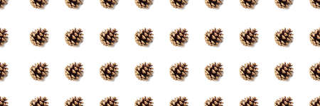 Dry pine cone seamless pattern isolated on white background. Symbol of Christmas and New Year. Autumn and winter season concept. Design element, panoramic banner, headerの写真素材