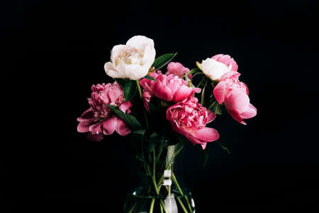 Bouquet of pink and white peonies in glass vase on black background. Floral card design. Selective focusの写真素材