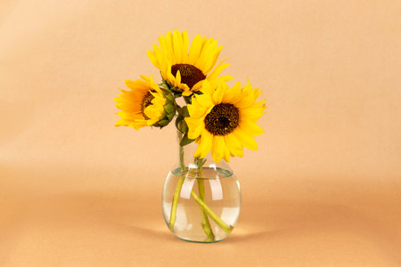 Bouquet of yellow sunflowers in a glass vase on a background of craft paperの写真素材