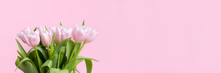 Beautiful delicate bouquet of tulip flowers on pink background banner. Panoramic web header with copy space. Wide screen wallpaperの写真素材