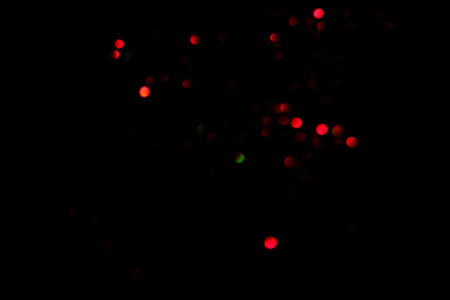 Red blurred bokeh lights on black background. Glitter sparkle confetti for celebrate. Overlay for your designの写真素材