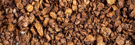 Organic roasted granola cereal banner. Top view muesli background texture panoramic web header. Wide screen wallpaperの写真素材