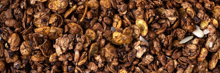Organic roasted granola cereal banner. Top view muesli background texture panoramic web header. Wide screen wallpaperの写真素材