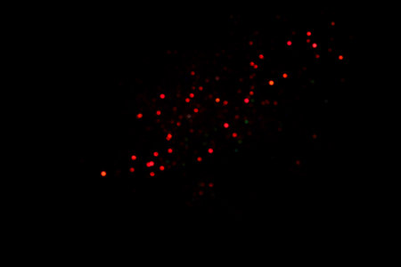 Red blurred bokeh lights on black background. Glitter sparkle confetti for celebrate. Overlay for your designの写真素材
