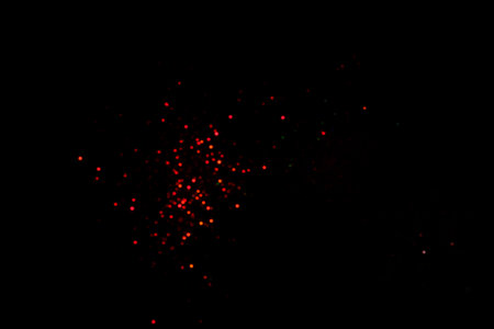 Red blurred bokeh lights on black background. Glitter sparkle confetti for celebrate. Overlay for your designの写真素材