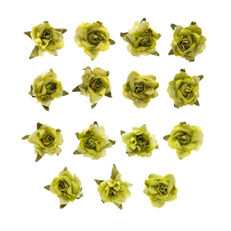 Green rose flower isolated on white background. Set of green paper flowers for scrapbooking.の写真素材