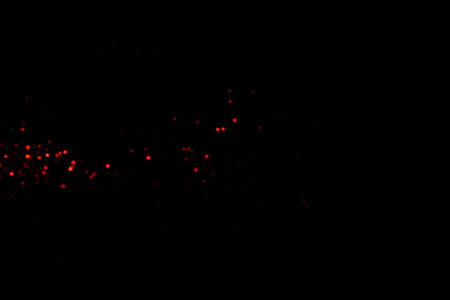Red blurred bokeh lights on black background. Glitter sparkle confetti for celebrate. Overlay for your designの写真素材