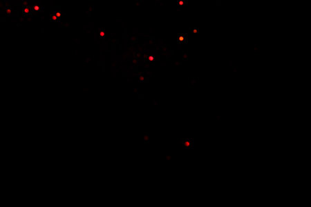 Red blurred bokeh lights on black background. Glitter sparkle confetti for celebrate. Overlay for your designの写真素材