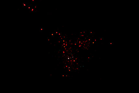 Red blurred bokeh lights on black background. Glitter sparkle confetti for celebrate. Overlay for your designの写真素材