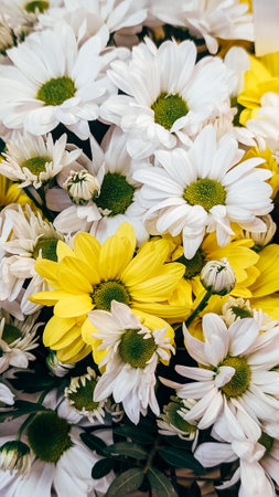 Fresh white and yellow daisies bouquet, close view. Colorful floral arrangement.の写真素材