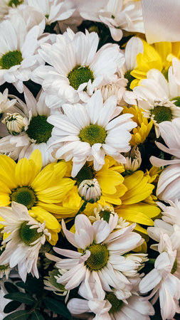Bright white and yellow daisies bouquet close-up with various blooms.の写真素材