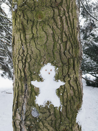 Snowman figure created on tree bark, surrounded by snow in winter landscape.の写真素材
