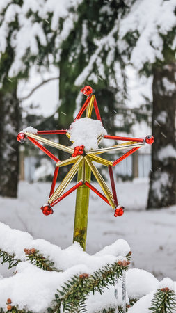 Decorative Christmas star, red and gold, covered in snow, amidst evergreen trees.の写真素材