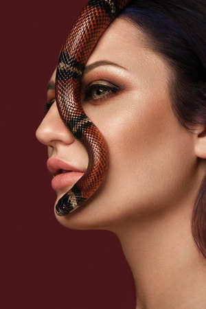 Beautiful girl brunette model with evening fashion make-up with a snake in her hands. Beauty face.の写真素材