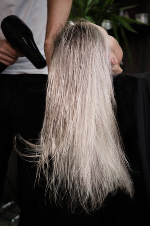 Young woman in a hairdressing salon dyes her hair blond and dries hair.の写真素材