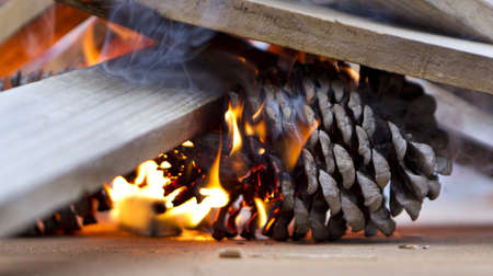 pinecone burning in a fireの写真素材
