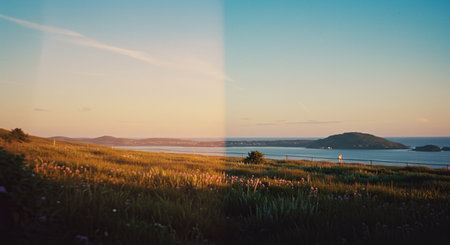Serene coastal view with a golden meadow leading to the calming sea and horizon, illuminated by the warm hues of the setting sun creating a peaceful and scenic vista.の素材