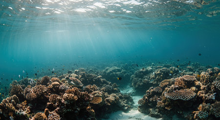 Serene underwater scenery showcases a flourishing coral reef, dappled sunlight filtering through the clear water, highlighting diverse coral formations and active marine life, a natural seascape.の素材
