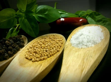 spices condimentの素材