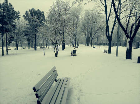 Winter park sceneの素材