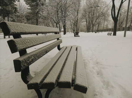 Wooden bench in the park covered with snowの素材