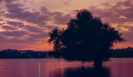 sunset on the river Danube with tree reflected in waterの写真素材