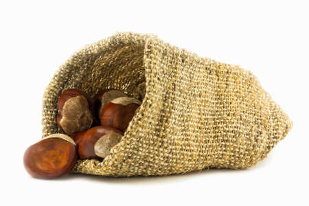 Chestnuts in hessian sack on whiteの写真素材