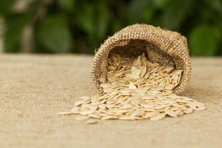 Pumpkin seeds in hessian bag with background defocusの写真素材