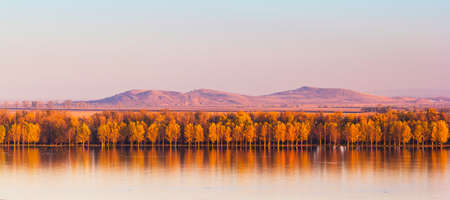 Autumn Trees Mirroring On Danube river with Macin Mountains in backgroundの写真素材