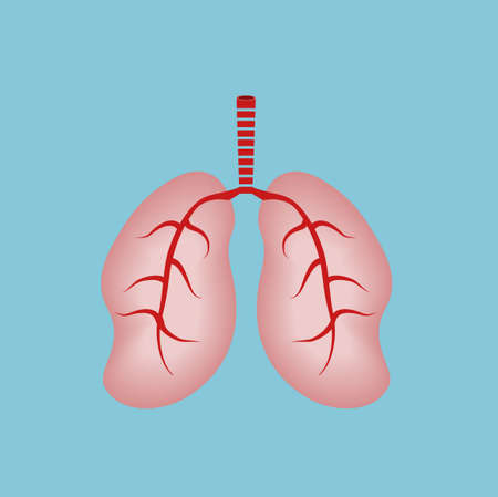 Human Lungs
