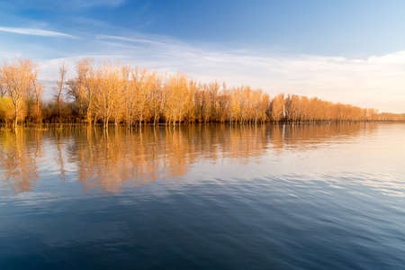 Autumn trees reflecting in the riverの写真素材