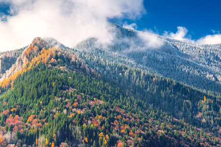 Mountains with forest in two seasons.Autumnal forest on the mountain and forest covered with snow on topの写真素材