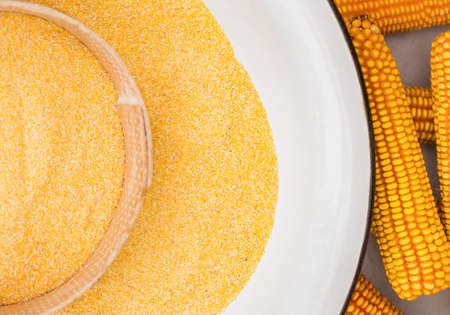 Corn sieve  flour next to corn cobsの写真素材