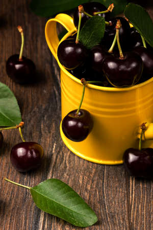 Black cherries in  a yellow garden watering container.
