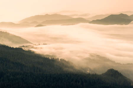 Fog in the valleys of the mountains.Panaramic view