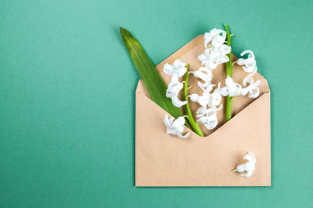 Spring flower in brown envelope over green background with copy space.の写真素材