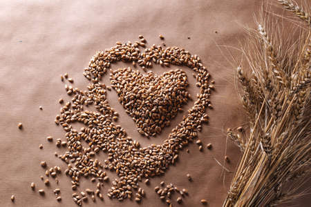 Wheatgrass seeds in heart shape and wheat spice on rustic background. Love healthy fiber food...