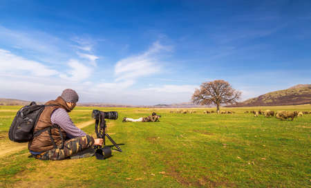 Photographers taking landscape picture on sunny dayの写真素材