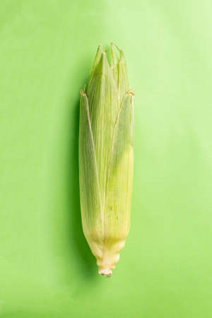 Ripe corn in the leaves on a green backgroundの写真素材