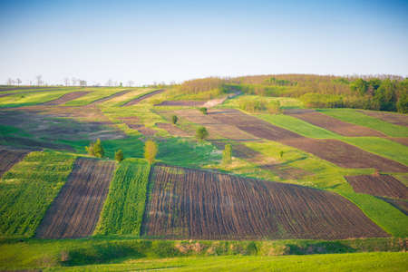View of the Fields and Agricultural Parcel. Agricultural plots.の写真素材