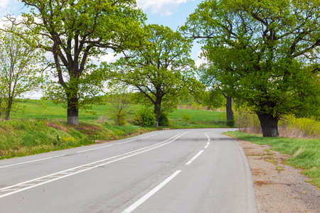 Paved road with road markings and trees on the side of the road in summer day.の写真素材