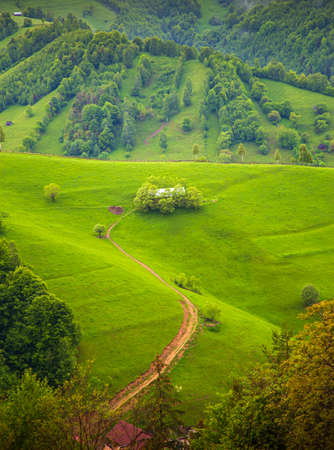 Road to a cottage in the Bucegi Mountains, Romaniaの写真素材