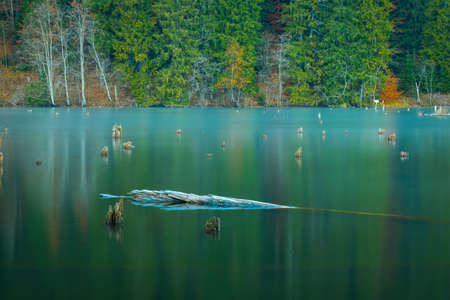 Picture of the water surface at Lacu Rosu, Romaniaの写真素材