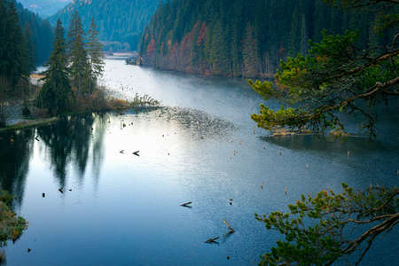 Aerial view of Lacu Rosu lake. Autumn scene of Harghita County, Romania, Europe.の写真素材