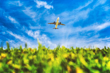 A plane over grass