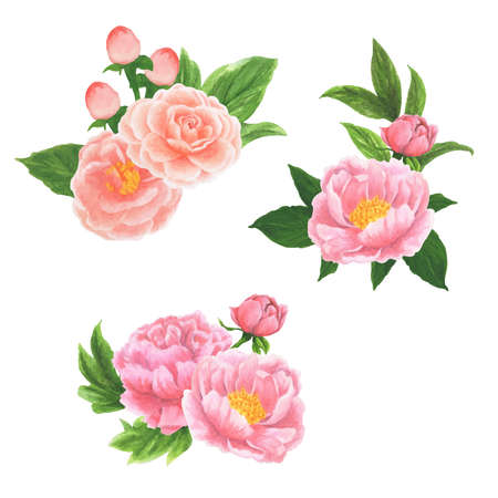 set of flower , vector, decorative , floral designs, decorative elements, spring, flowers, buds, leaf, plants, flower decorations,  pinkのイラスト素材