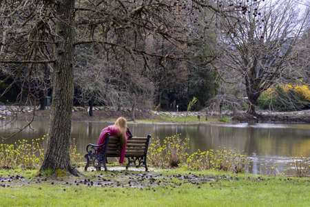 ormanの写真素材