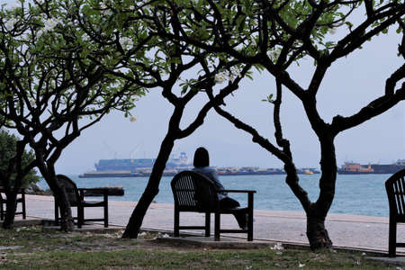 trevel sae water treeの写真素材